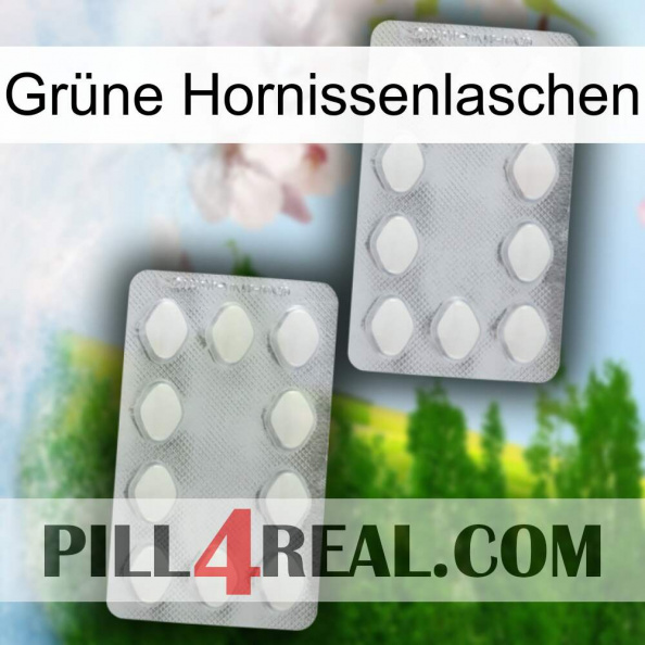 Grüne Hornissenlaschen 17